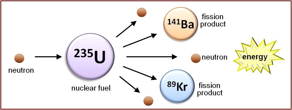 Schematic representation of an induced nuclear fission event.