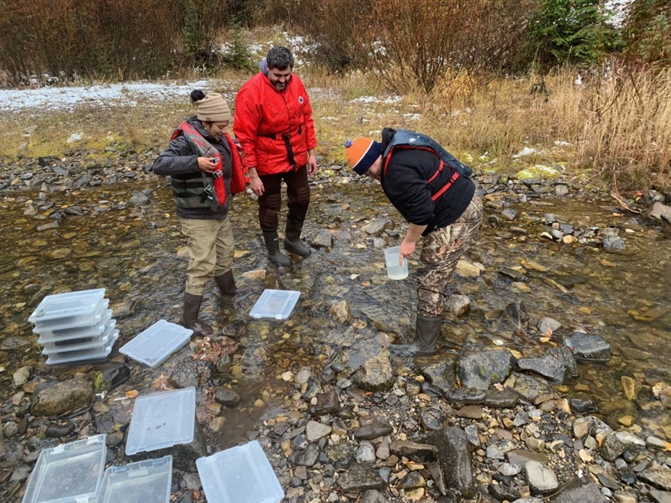 Three people in winter clothing standing in a shallow creek with plastic sampling bins.