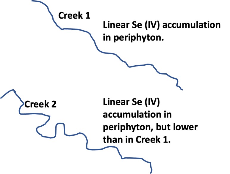 Hand-drawn map outlining the paths of two creeks marked Creek 1 and Creek 2